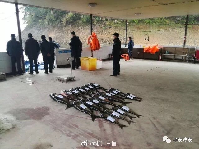 怪物猎人崛起鱼塘怎么刷新